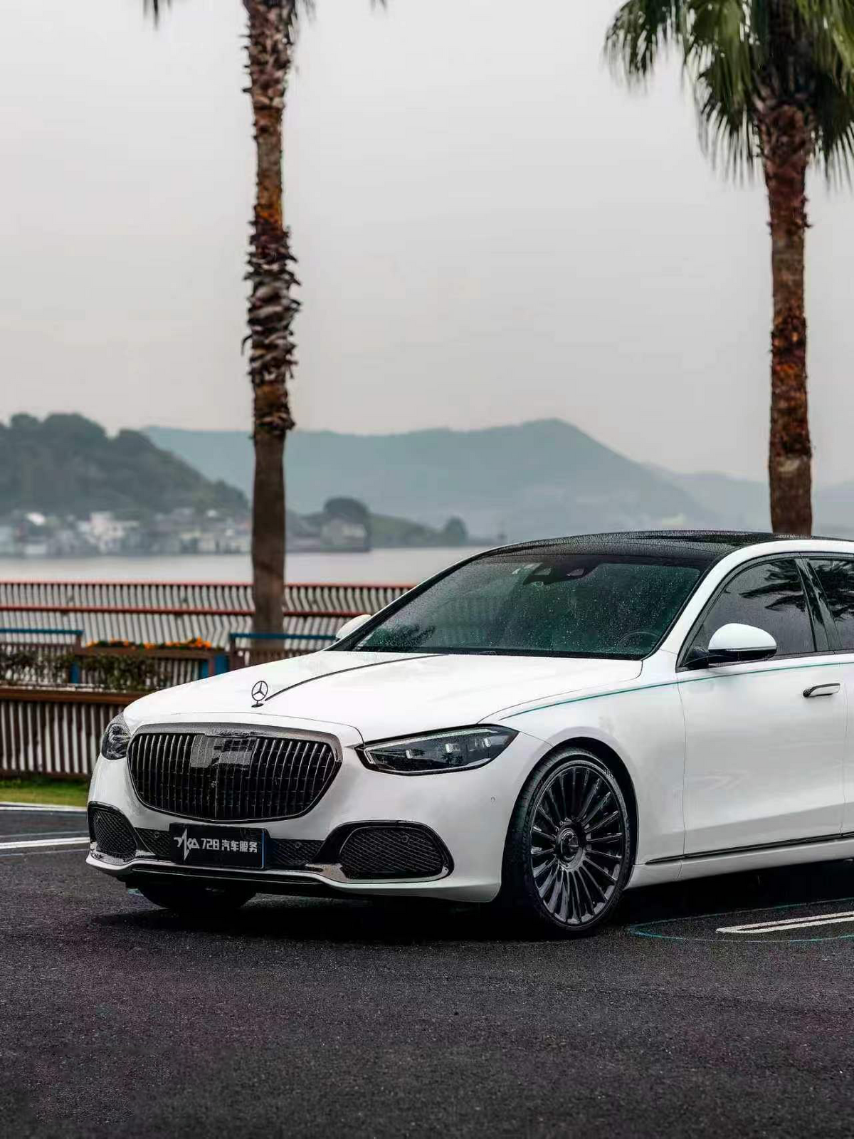 FACEWHEELS FW1031-M × MERCEDES-MAYBACH S 480 (Z223)