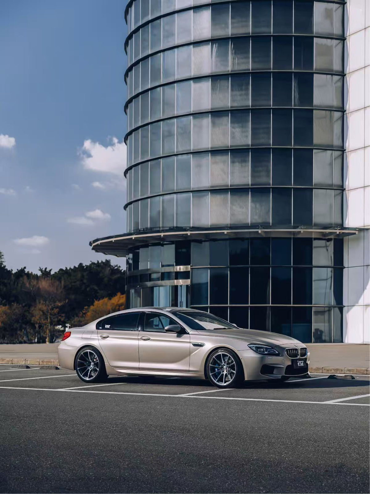 FACEWHEELS FW1039 × BMW M6 GRAN COUPÉ F06