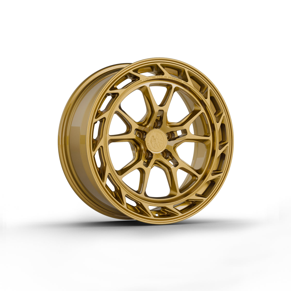 FW-A1041 - Face Wheels-thumbmail-21